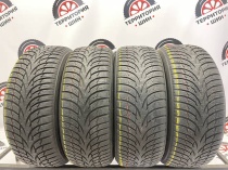 Nokian Tyres WR D3 205/55 R16