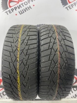 Doublestar Winter King DW01 R16 205/55