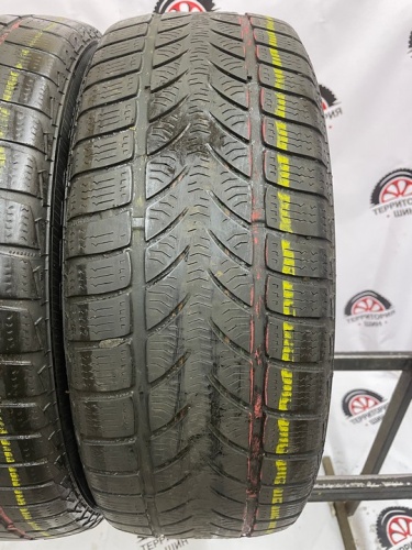 Platin Winter RP50 R16 205/55 91Н