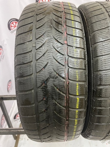 Platin Winter RP50 R16 205/55 91Н