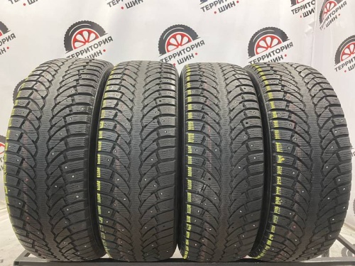 Formula Ice 225/65 R17