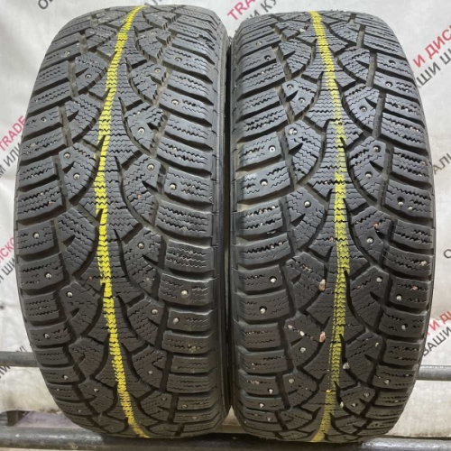 Gislaved Euro Frost 3 Silica 195/55 R15