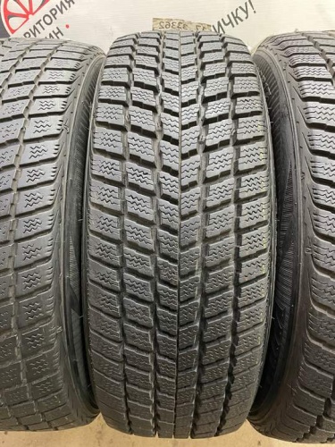 Nexen Winguard R17 225/60