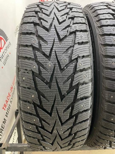 Nexen WS62 R19 235/55