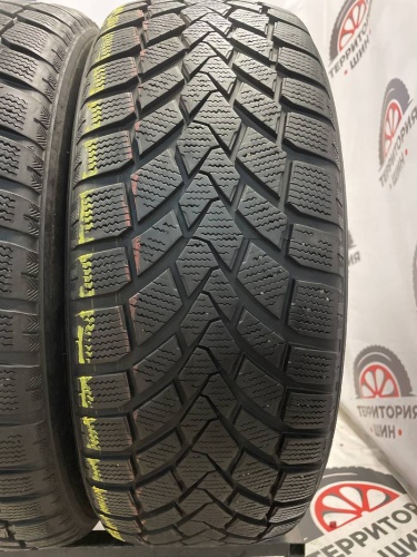 Haida Winter HD617 205/55 R16