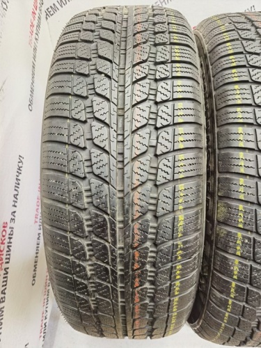 Sunny SN290 R17 225/60