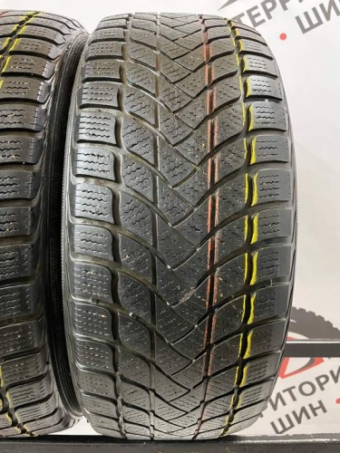 Landsail Winter Lander R17 215/55