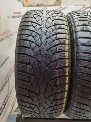 Nokian WR D4 R17	225/55