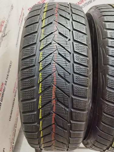 Vredestein Wintrac Xtreme S R17 225/60